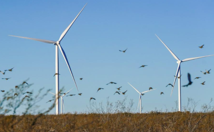 中國風電技術助力阿根廷能源轉型